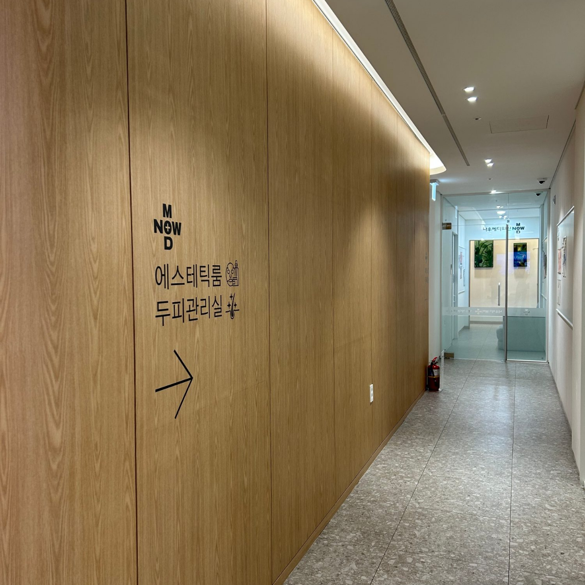 시술 이야기
